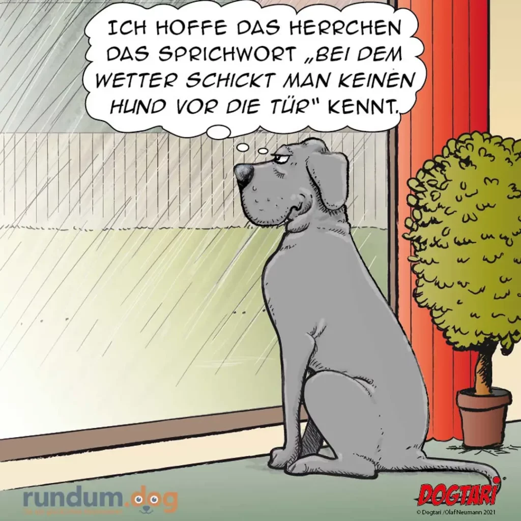 Dogtari 406