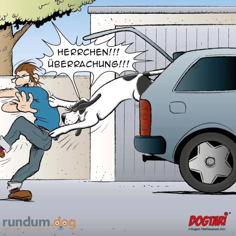 Grosser Hund springt an Halter in blauem Shirt hoch, dieser weicht erschrocken aus und schreit 'Herrchen!!! Überrachlung!!!'. Im Hintergrund eine Garage mit grauem Auto.