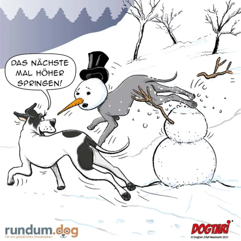 Hund springt vor Schneemann, Schneemann trägt Zylinder und sagt 'Das nächste Mal höher springen!', verschneite Winterlandschaft