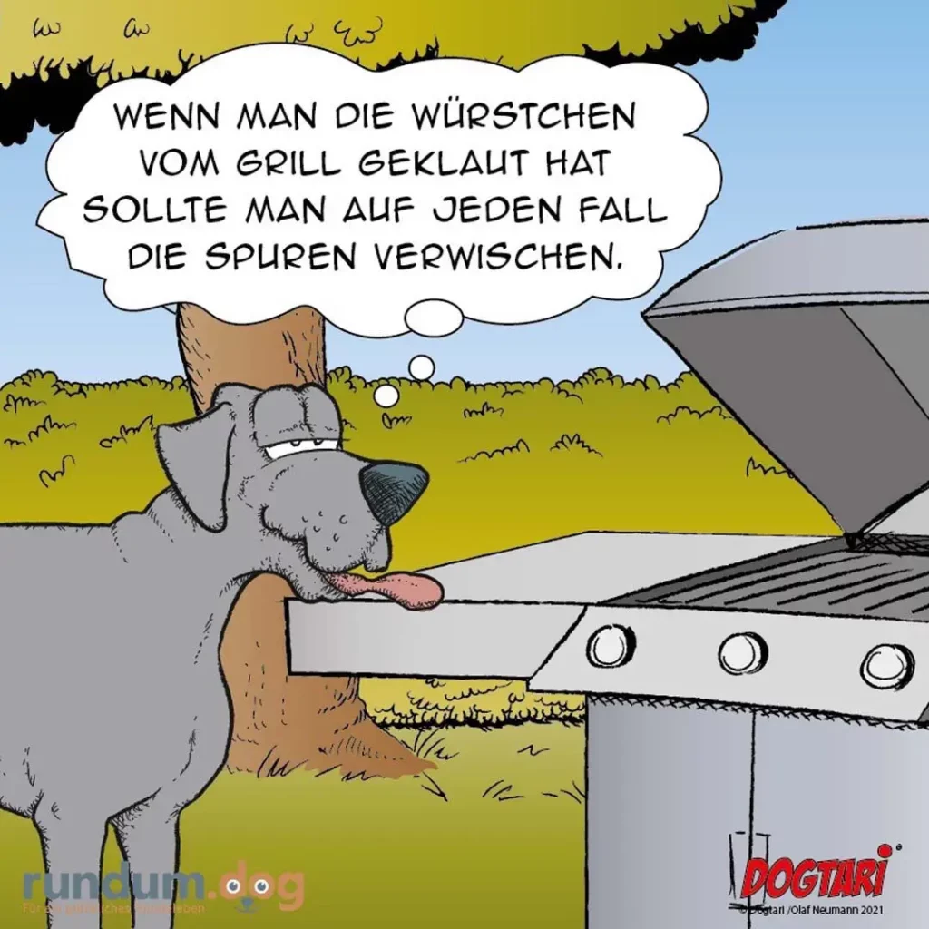Hund leckt sich die Zunge ab und schaut auf einen Grill, Gedankenblase mit Text über Würstchen vom Grill