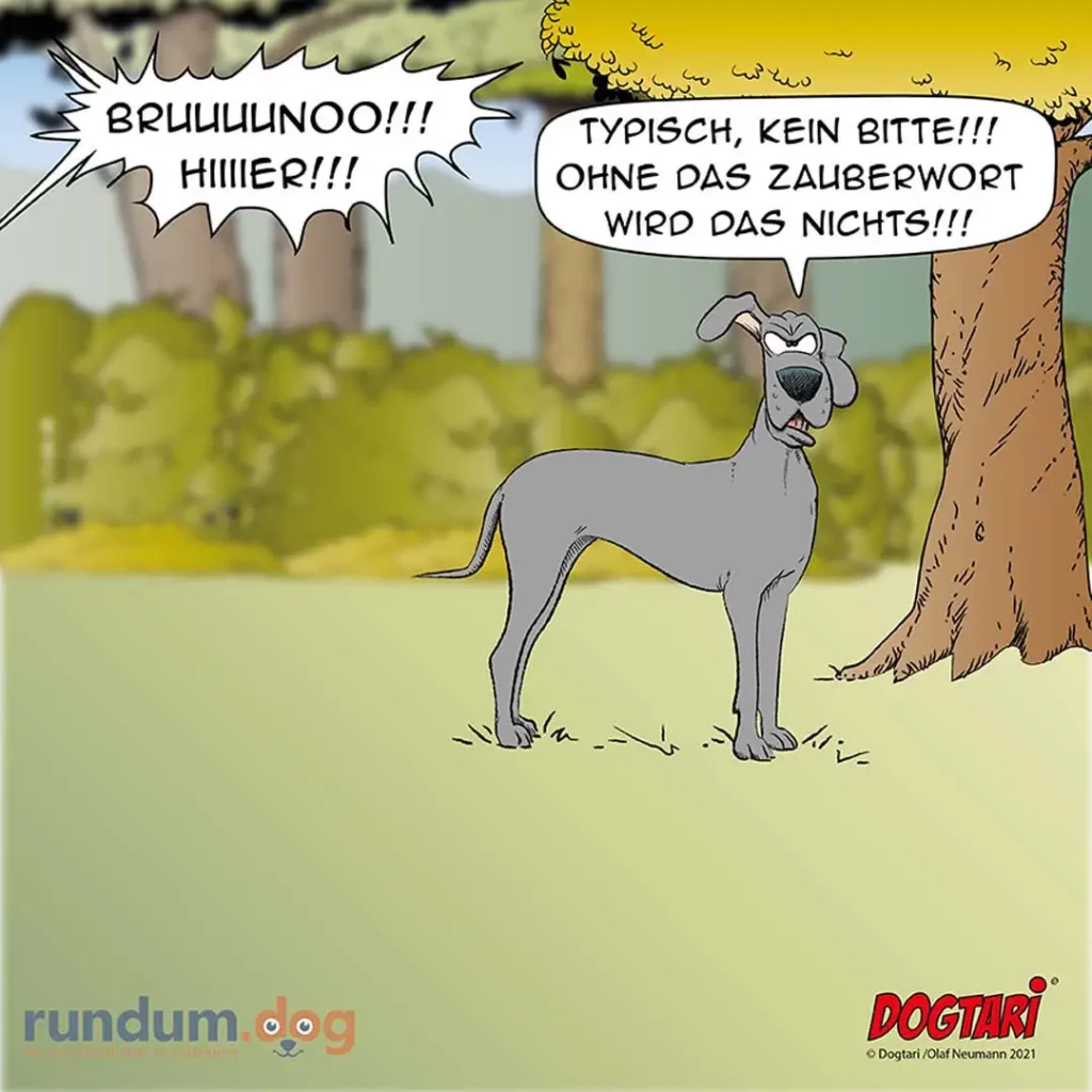 Grauer Hund steht vor einem Baum, schaut verzweifelt nach oben. Ein Eichhörnchen sitzt im Geäst und ruft herab.
