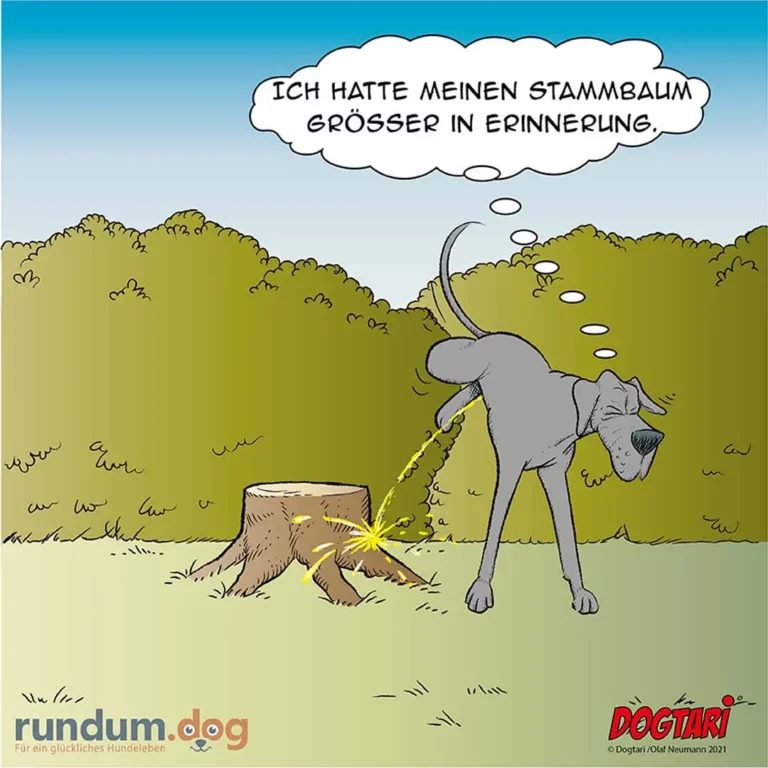 Hund an der Leine zieht heftig zu einem Baumstumpf, Gedankenblase: «Ich hatte meinen Stammbaum grösser in Erinnerung»