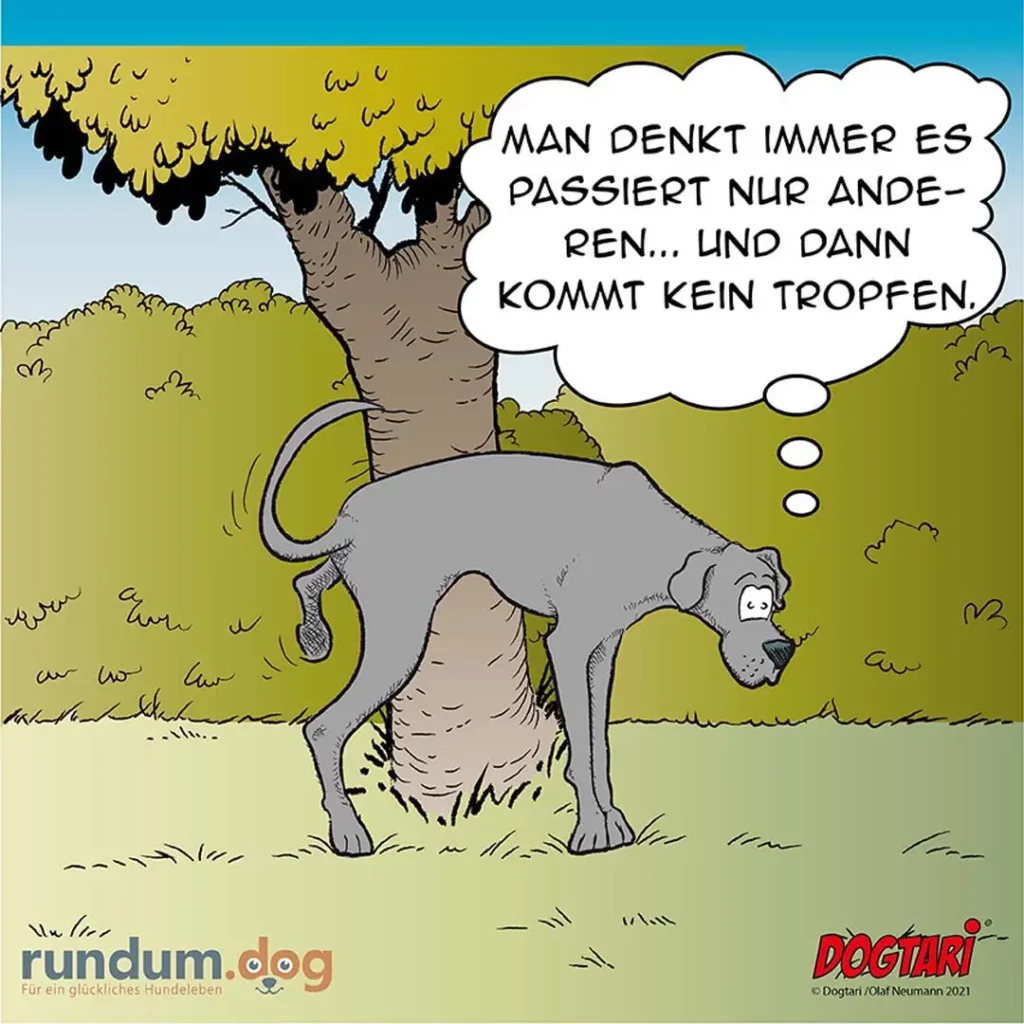 Hund an der Leine unter einem Baum, schaut zu Halter: «Man denkt immer es passiert nur andern... und dann kommt kein Tropfen.»