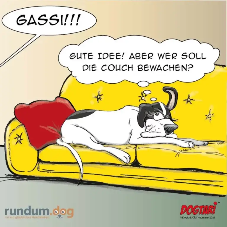 Hund in rotem Umhang liegt entspannt auf gelber Couch, ruft «GASSI!!!», antwortet sich selbst besorgt «Gute Idee! Aber wer soll die Couch bewachen?»