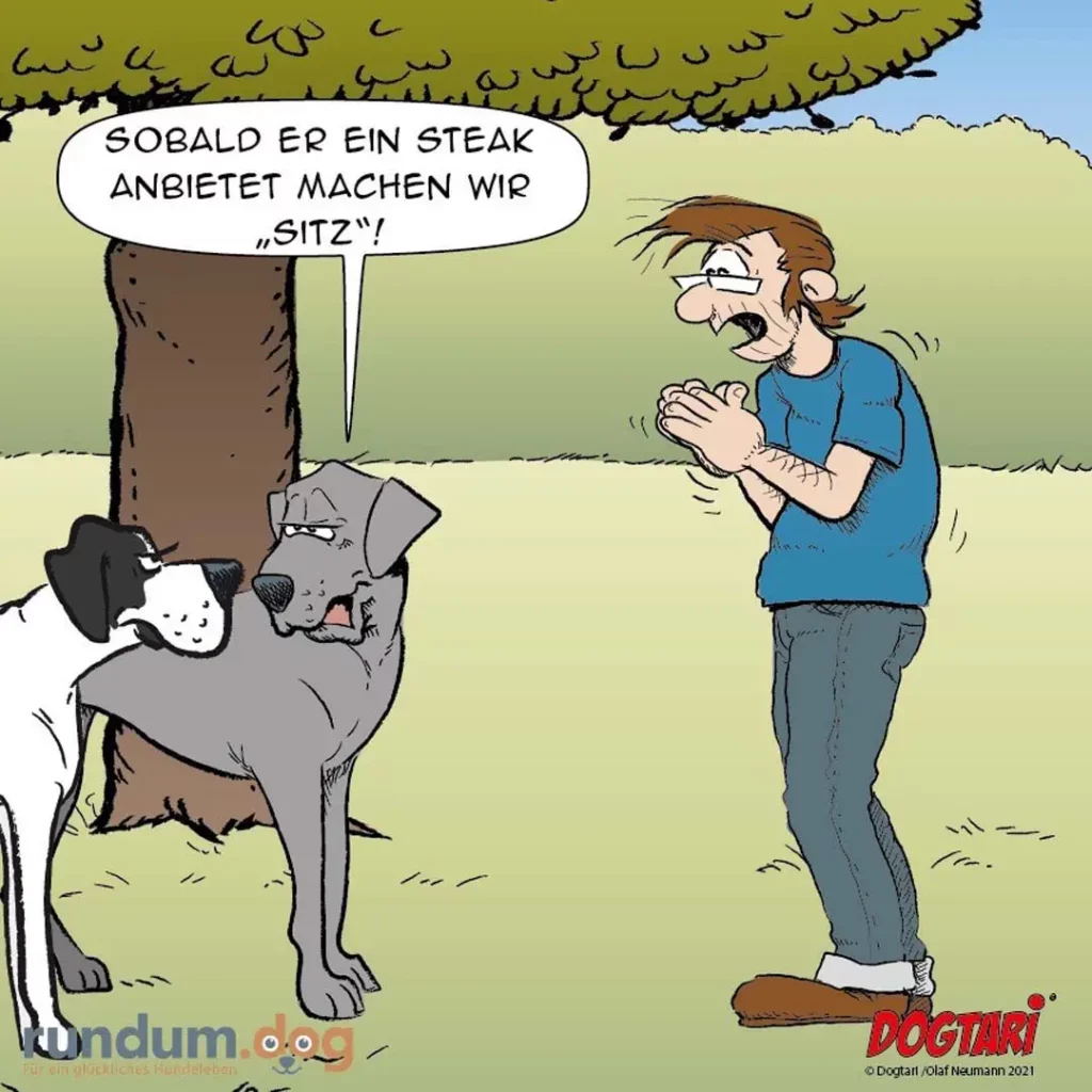 Hund sitzt vor Baum, schaut Halter an und sagt: Sobald er ein Steak anbietet machen wir Sitz. Halter steht frustriert daneben.