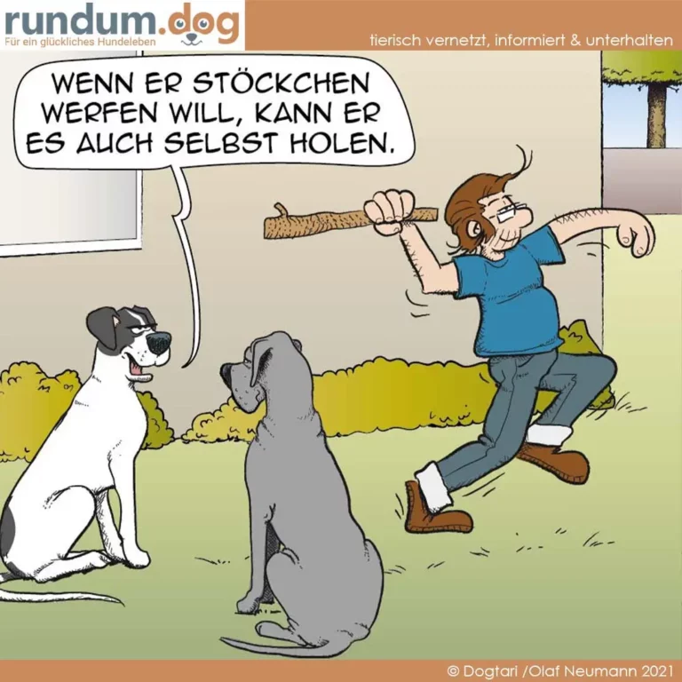 Frau wirft Ast für zwei Hunde, einer sitzt brav, der andere springt hoch. Sprechblase: Wenn er Stöckchen werfen will, kann er es auch selbst holen.