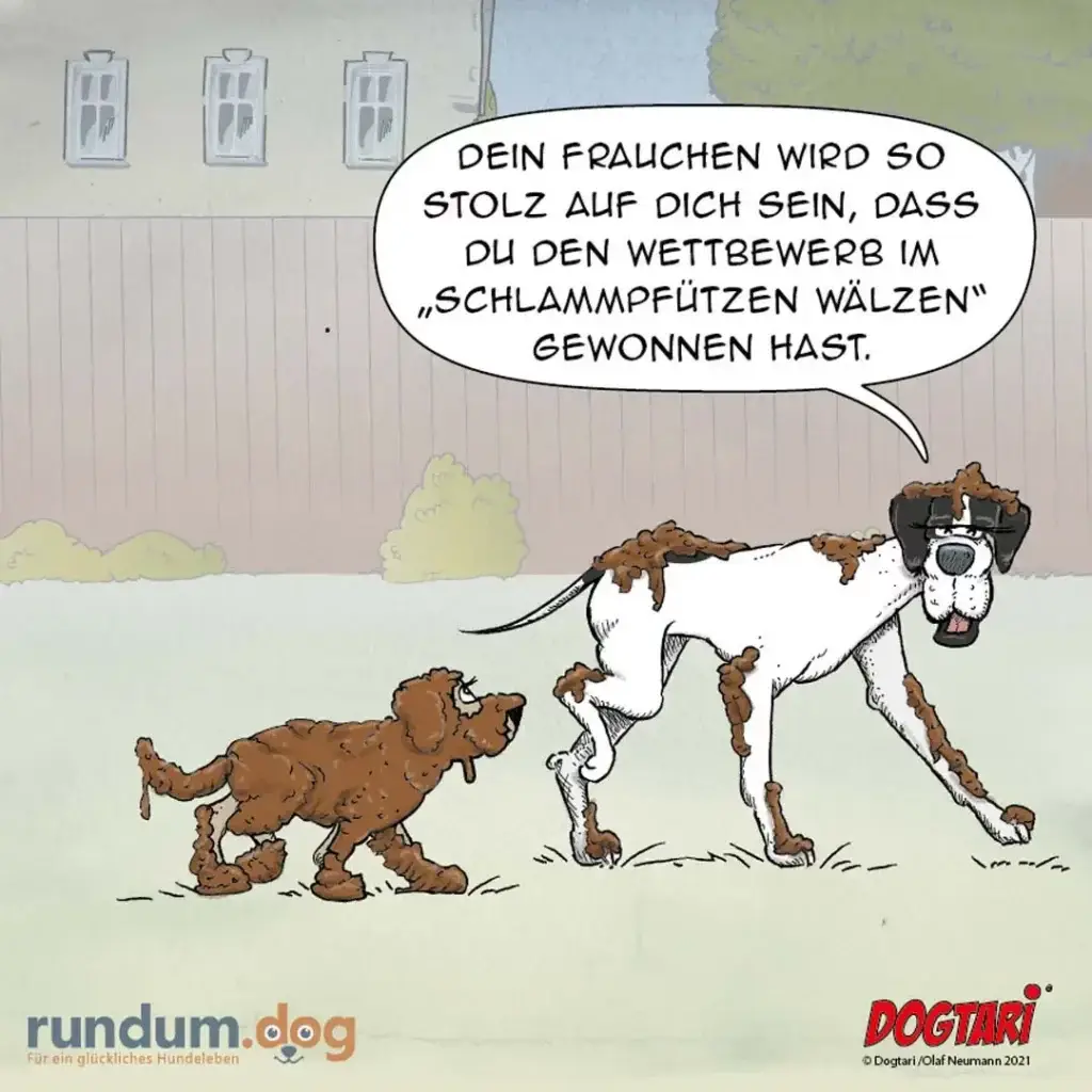 Grosser weisser Hund mit Schlamm bedeckt spricht zu kleinem braunem Hund: «Dein Frauchen wird so stolz auf dich sein, dass du den Wettbewerb im Schlampfützen gewonnen hast.»