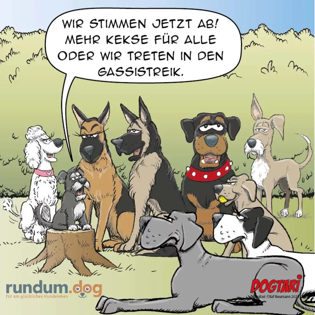 Gruppe von verschiedenen Hunden sitzt im Kreis, einer spricht: 'Wir stimmen jetzt ab! Mehr Kekse für alle oder wir treten in den Gassistreik.'