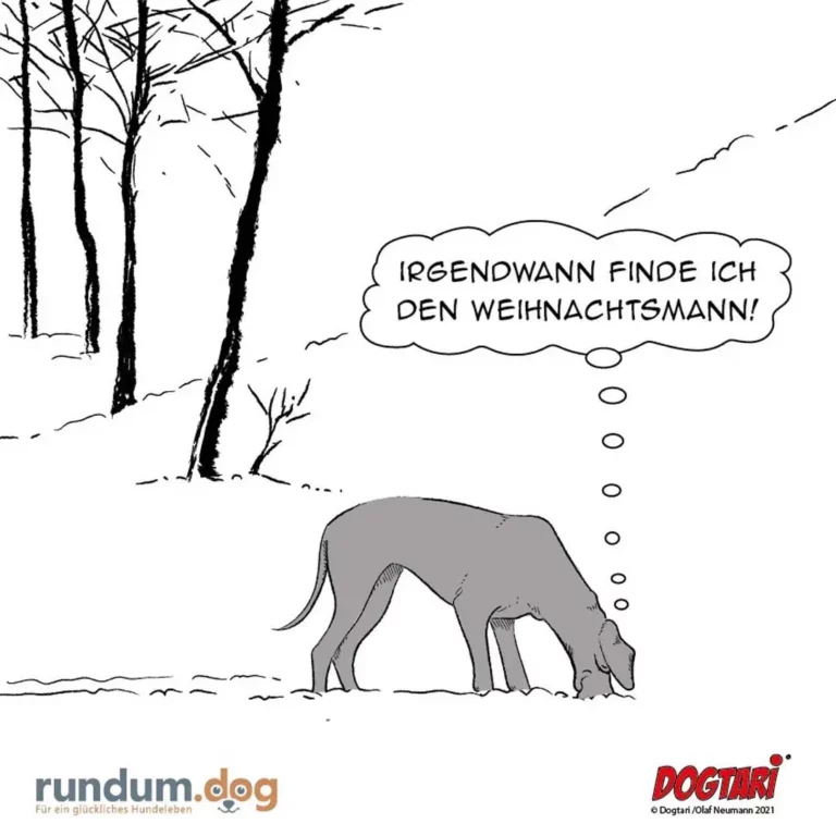 Hund schnüffelt im Schnee unter kahlen Bäumen, Gedankenblase: «Irgendwann finde ich den Weihnachtsmann!»
