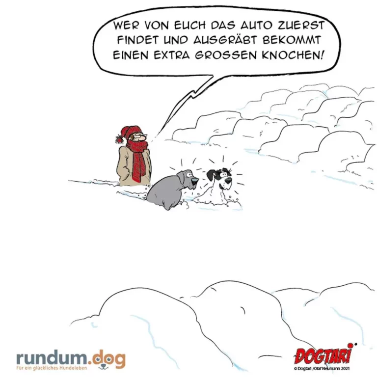 Person im Schnee verspricht zwei Hunden einen extra grossen Knochen, wenn einer das Auto findet