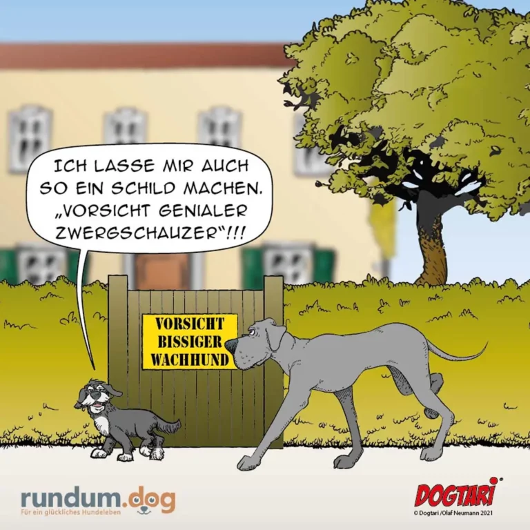 Kleiner Hund spricht zu grosem Hund vor Zaun mit Schild «Vorsicht bissiger Wachhund»