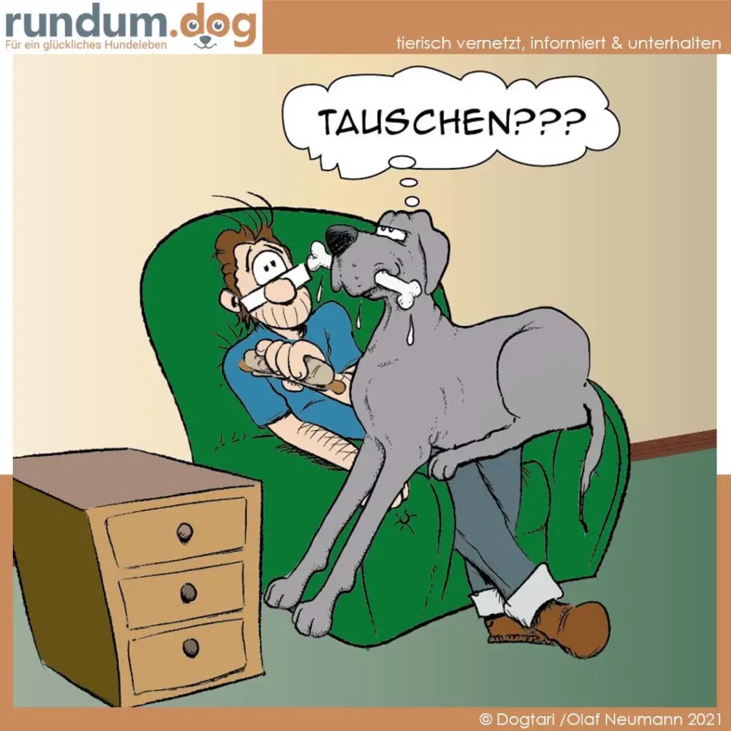Mann sitzt in grünem Sessel, Hund steht auf seinen Beinen und leckt sein Gesicht, Mann fragt überrascht «Tauschen???»