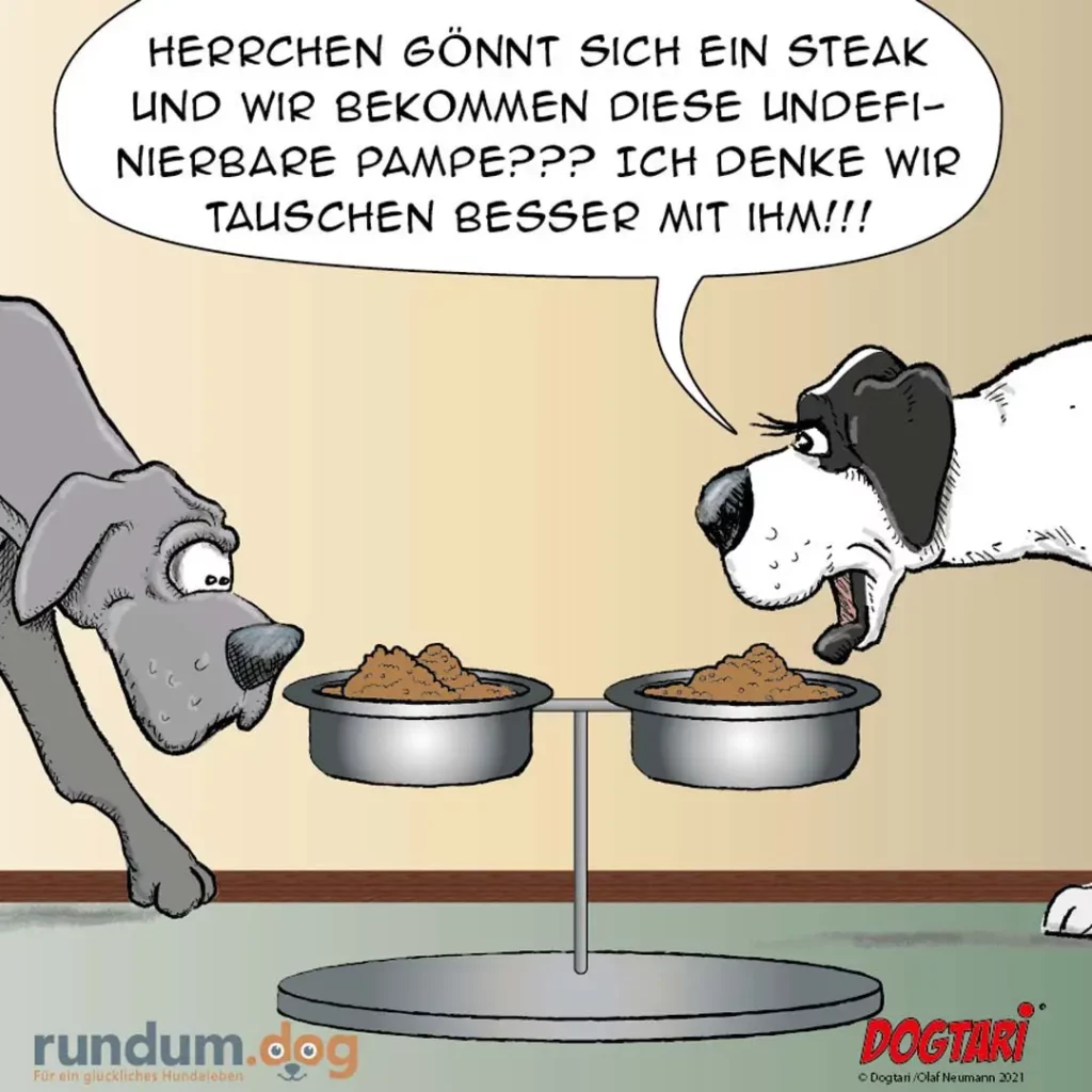 Zwei Hunde vor zwei Futternäpfen, einer spricht zum anderen über einen Tausch, grauer Hund schaut überrascht