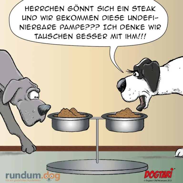 Zwei Hunde vor zwei Futternäpfen, einer spricht zum anderen über einen Tausch, grauer Hund schaut überrascht