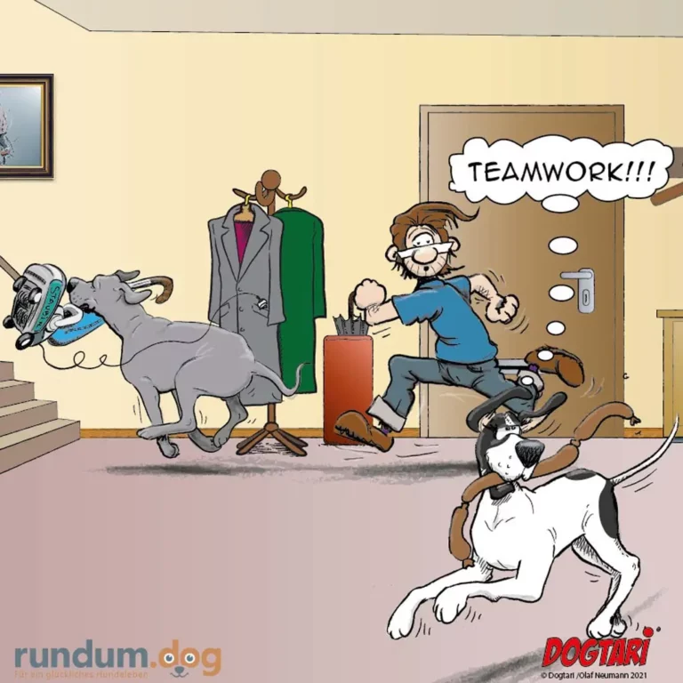 Mann ruft «Teamwork!!!» während drei Hunde im Büro chaotisch herumspringen und alles durcheinanderbringen