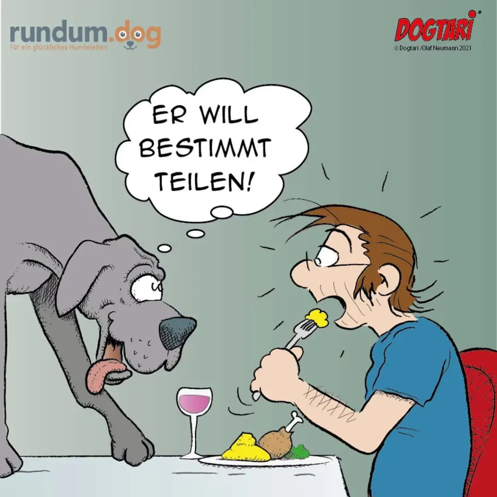 Mann sitzt beim Dinner mit Hund am Tisch, hält Gabel mit Essen, Hund schaut hungrig und denkt 'Er will bestimmt teilen'