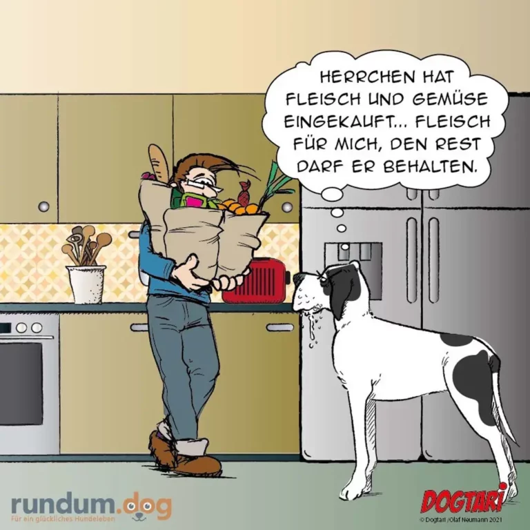Mann in der Küche hält Einkaufstaschen mit Fleisch und Gemüse, Hund sitzt erwartungsvoll daneben und sabbertend