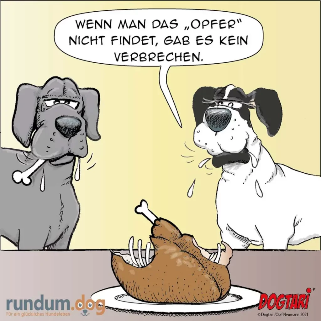 Zwei Hunde diskutieren über ein Huhn auf einem Teller: grauer Hund hält Knochen, weisser Hund mit Brille spricht