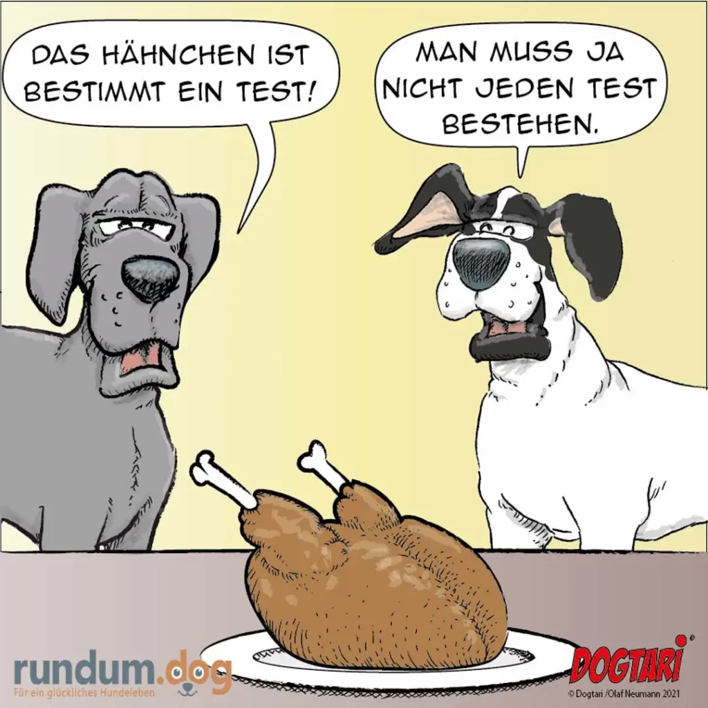 Grauer Hund deutet auf Hähnchen und sagt, es sei ein Test. Weisser Hund mit Hut antwortet, nicht jeden Test bestehen zu müssen. Hähnchenschenkel liegen auf Teller.