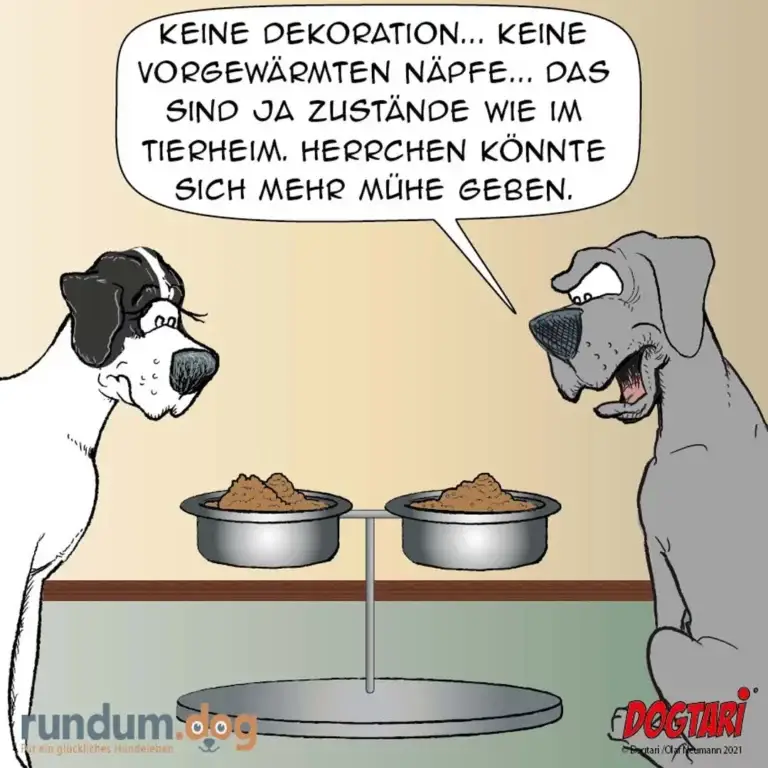 Dogtari 437