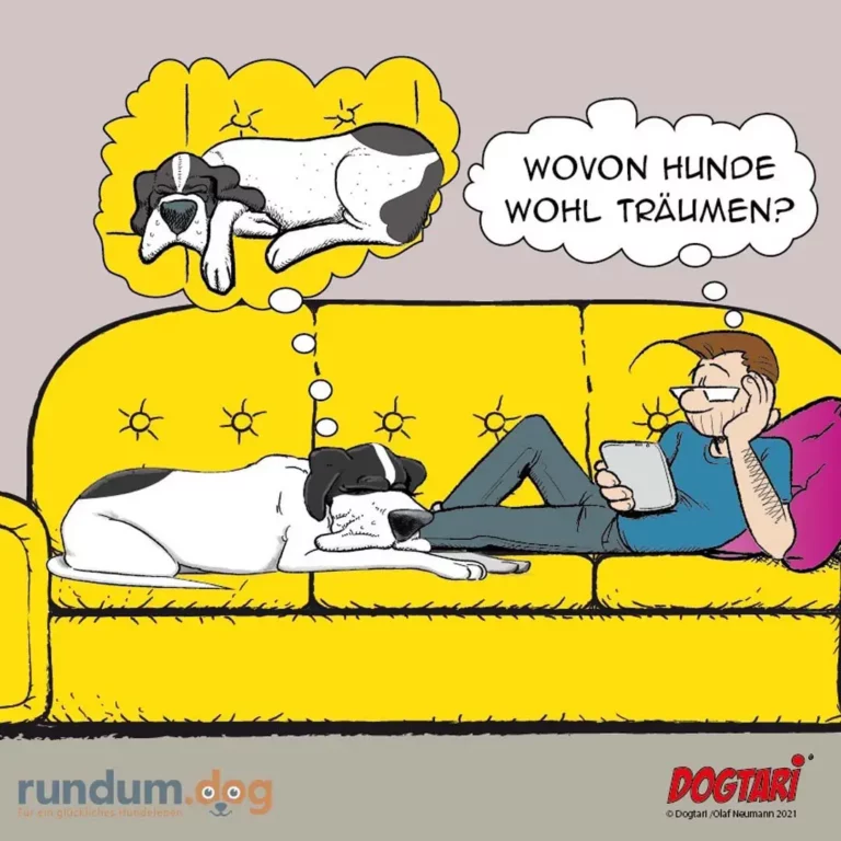 Mann sitzt auf gelbem Sofa, telefoniert und liest, während zwei Hunde in Gedankenblasen über Träume nachdenken