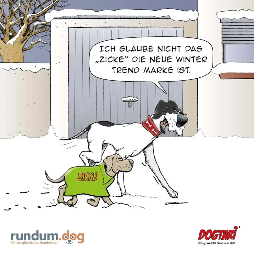 Grosser Hund mit rotem Halsband schaut auf kleinen Hund im grünen Pulli mit Schrift 'ZICKE' im Schnee vor Garage