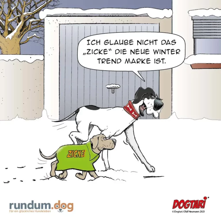 Grosser Hund mit rotem Halsband schaut auf kleinen Hund im grünen Pulli mit Schrift 'ZICKE' im Schnee vor Garage
