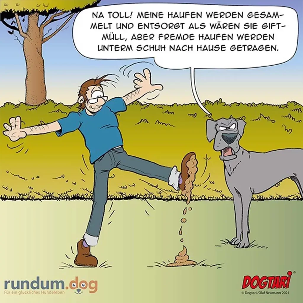 Dogtari 443