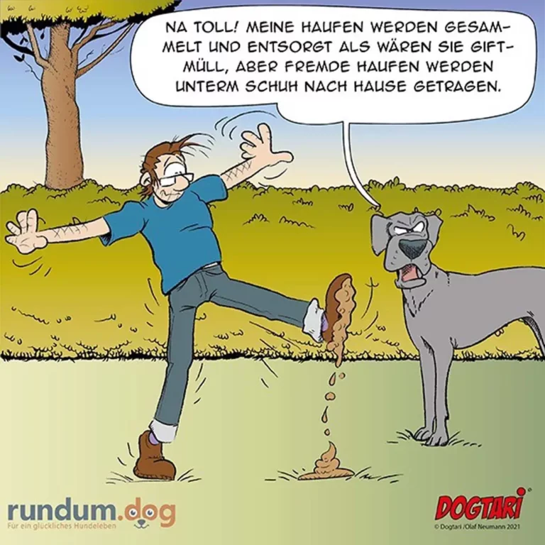 Dogtari 443