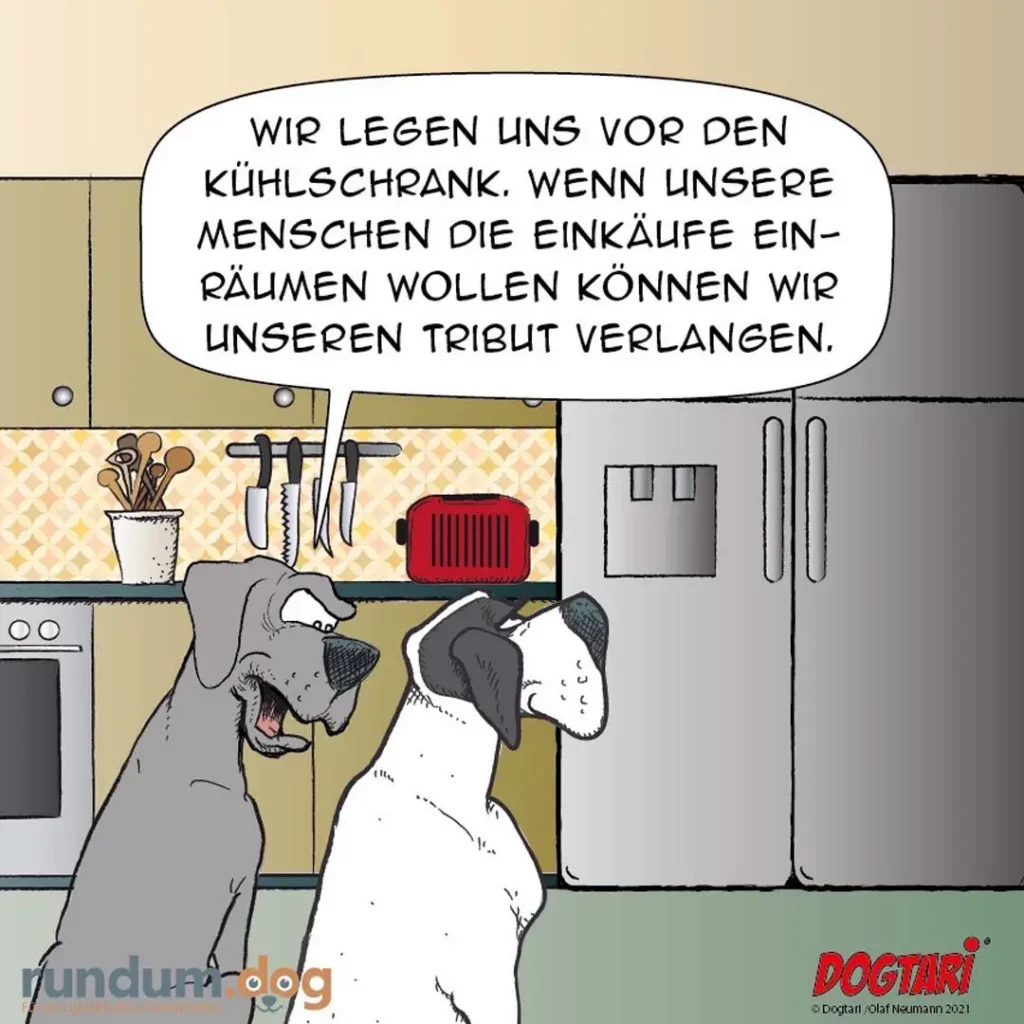 Zwei Hunde in der Küche vor einem offenen Kühlschrank, einer spricht zu dem anderen