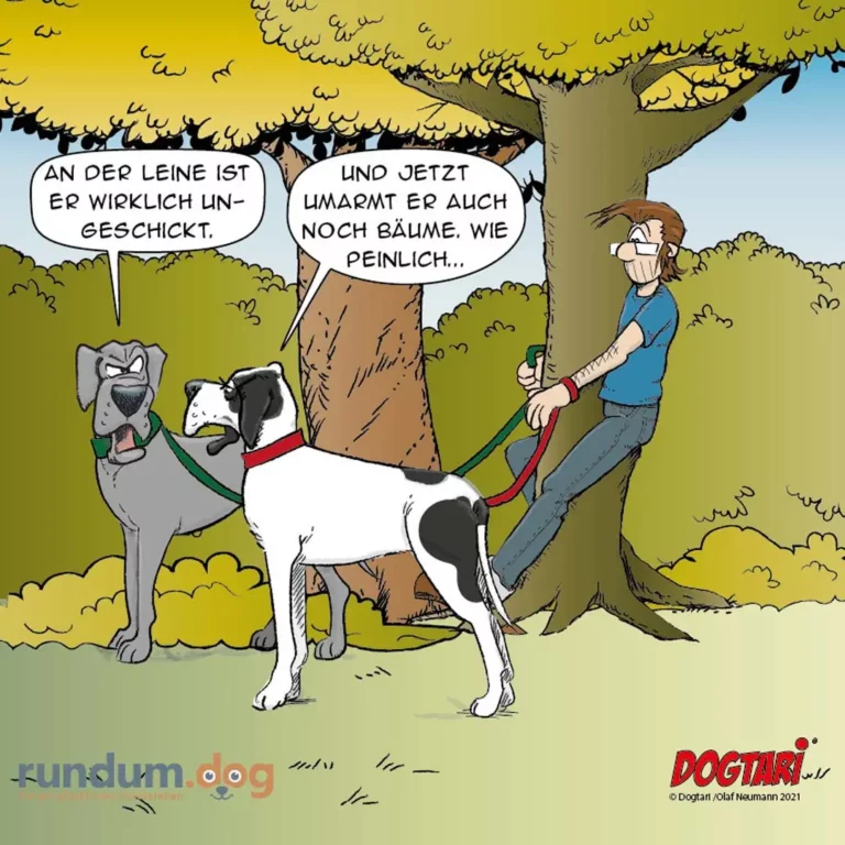 Halter mit zwei Hunden an der Leine unter einem Baum. Grauer Hund frustriert, weisser Hund zieht, Halter lächelt angespannt