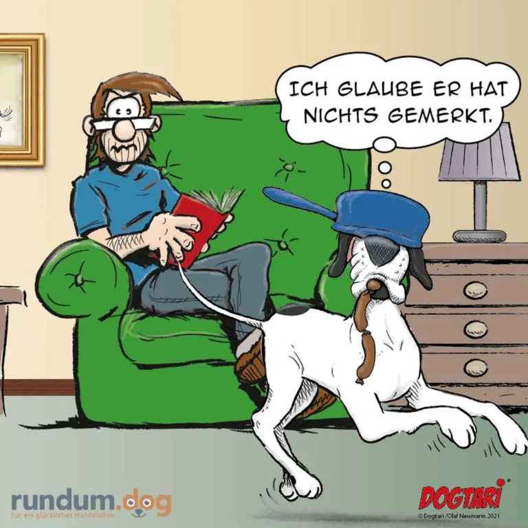 Mann sitzt auf grünem Sofa mit rotem Notizbuch, trägt verbundene Augen, Hund mit blauem Hut springt vor ihm herum