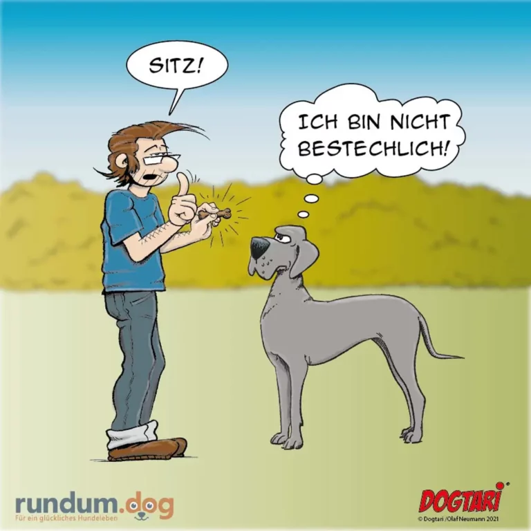 Halter kommandiert 'Sitz!' mit ausgestrecktem Arm, Hund antwortet im Gedankenblasen 'Ich bin nicht bestechlich!'