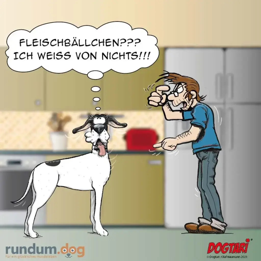 Weisser Hund mit schwarzen Flecken schaut verwirrt auf Halter, der fragend mit den Händen gestikuliert. Sprechblase: «Fleischbällchen??? Ich weiss von nichts!!!»