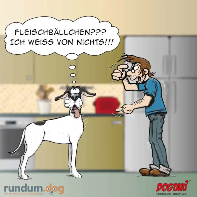 Weisser Hund mit schwarzen Flecken schaut verwirrt auf Halter, der fragend mit den Händen gestikuliert. Sprechblase: «Fleischbällchen??? Ich weiss von nichts!!!»