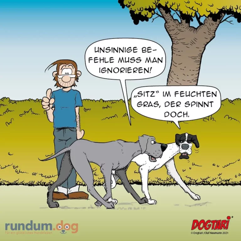 Mann mit Leine hält zwei Hunde an, sagt «Unsinnige Befehle muss man ignorieren», Hund antwortet «Sitz im feuchten Gras, der spinnt doch»