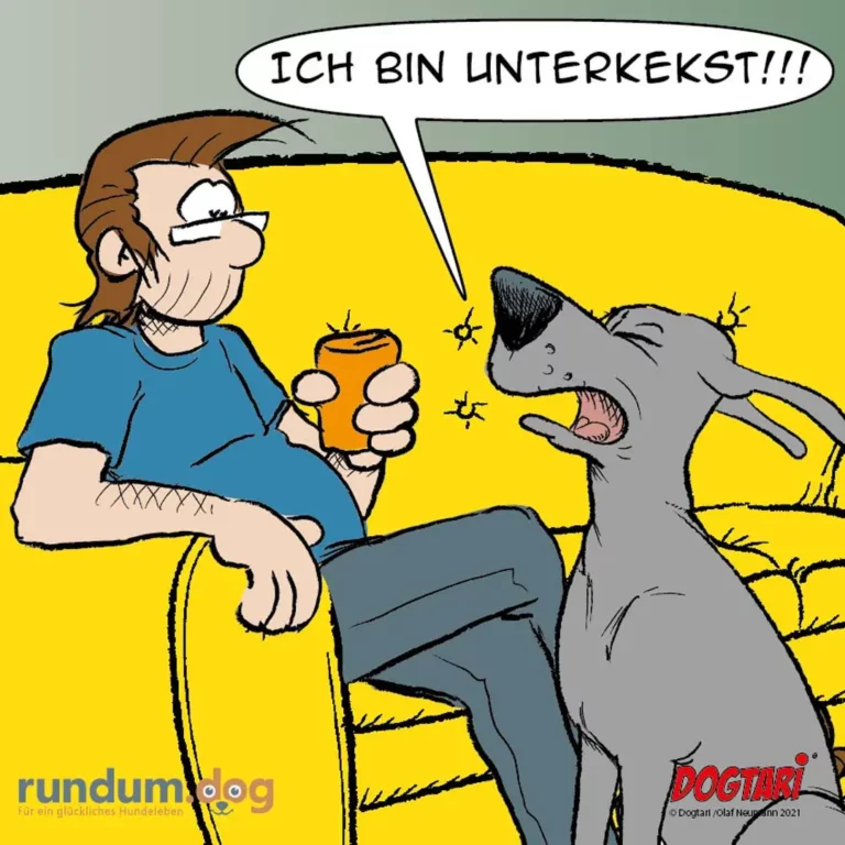 Halter sitzt auf gelber Bank mit Getränkedose, grauer Hund springt aufgeregt neben ihm und ruft «Ich bin unterkekst!!!»