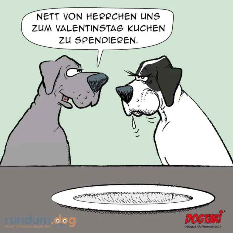 Zwei Hunde sitzen sich gegenüber, einer grau, einer schwarz-weiss. Der graue Hund spricht zum schwarzen: beide schauen auf einen leeren Teller zwischen ihnen.