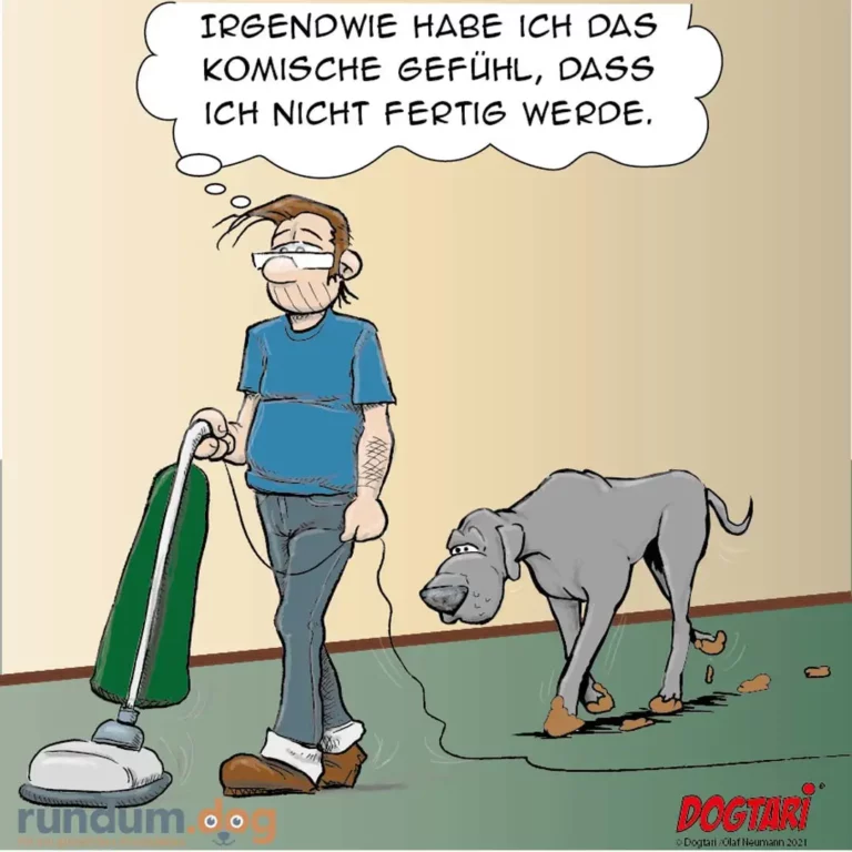 Mann mit Staubsauger und Mülltüte beim Gassi-Gehen, Hund hinterlässt Häufchen auf Rasen