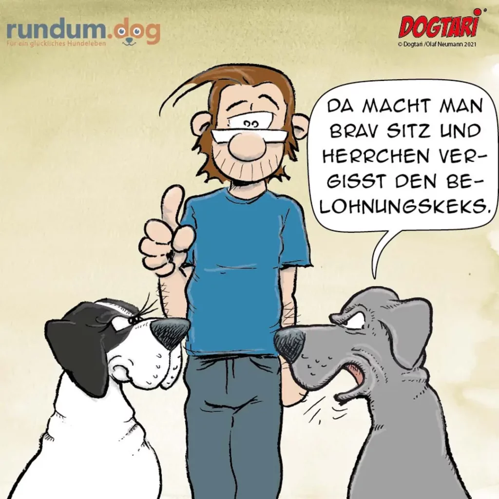 Mann mit Brille und blauem Shirt macht Daumen-hoch-Geste zwischen zwei Hunden, die ihn anschauen