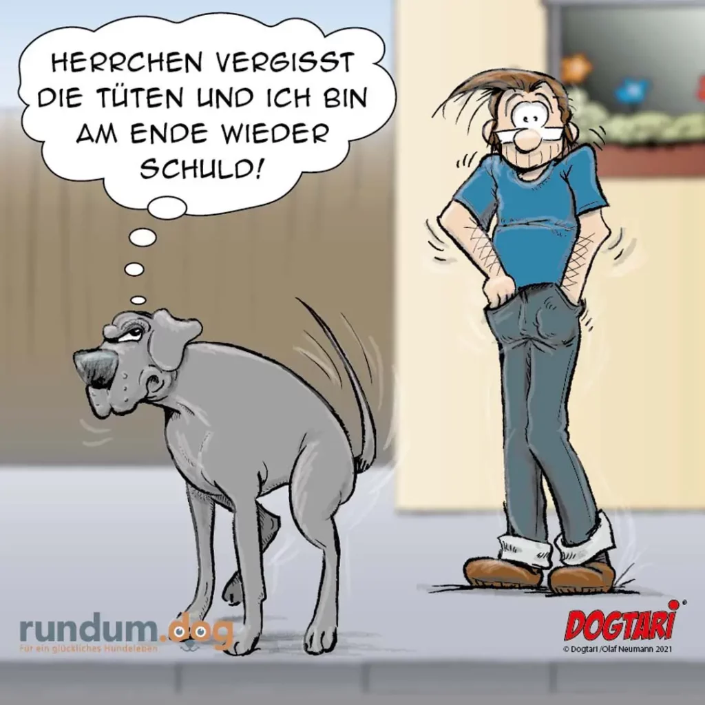 Hund sitzt mit eingezogener Rute und schaut schuldbewusst, Frau steht mit den Händen in den Hüften und denkt: «Herrchen vergisst die Türen und ich bin am Ende wieder schuld!»