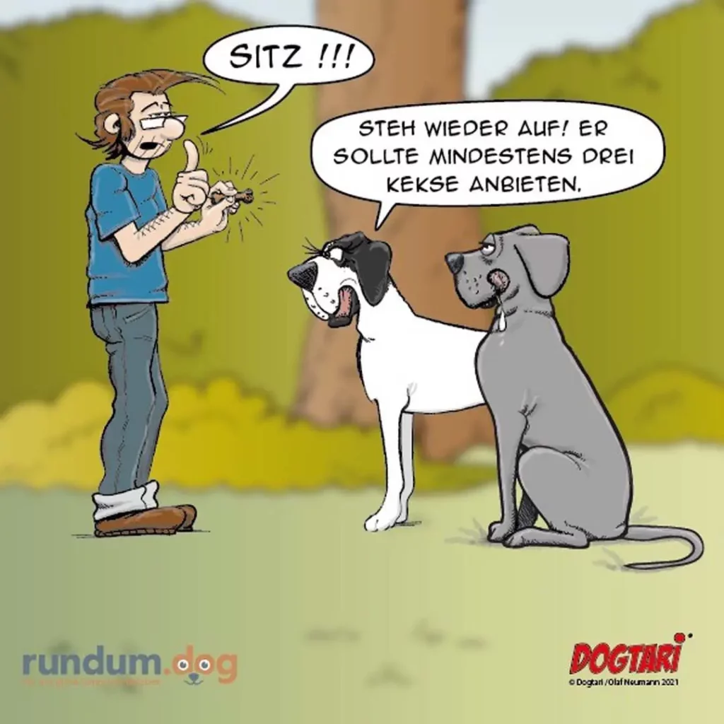 Hundehalter kommandiert laut «Sitz!!!» zu zwei Hunden, weisser Hund befolgt das Kommando, grauer Hund sitzt unbeteiligt daneben