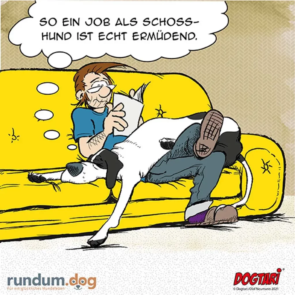 Mann sitzt entspannt auf gelbem Sofa und liest Zeitung, Schosshund liegt auf seinem Schoss und tritt mit den Pfoten gegen seinen Bauch