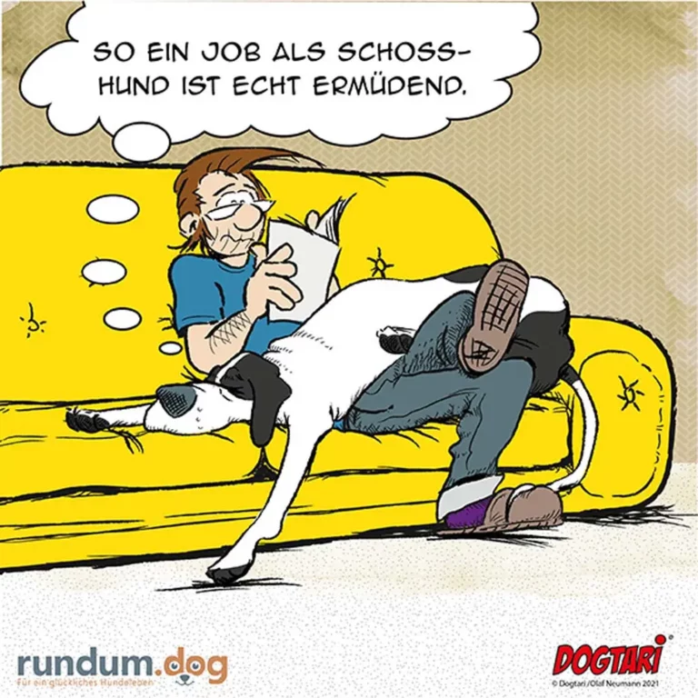 Mann sitzt entspannt auf gelbem Sofa und liest Zeitung, Schosshund liegt auf seinem Schoss und tritt mit den Pfoten gegen seinen Bauch