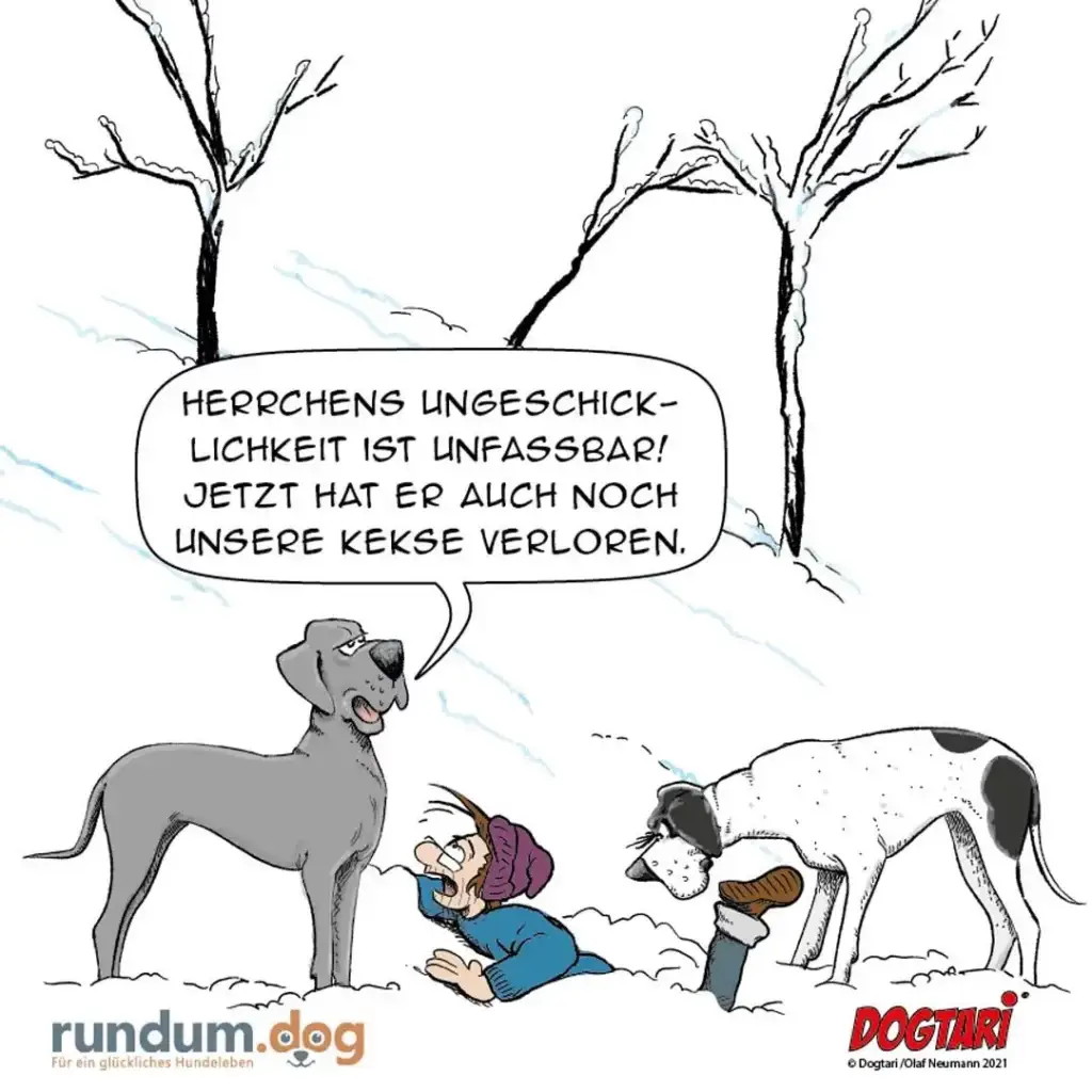 Grauer Hund spricht zu sitzendem Jungen, weisser Hund frisst Kuchen daneben, kahle Bäume im Hintergrund