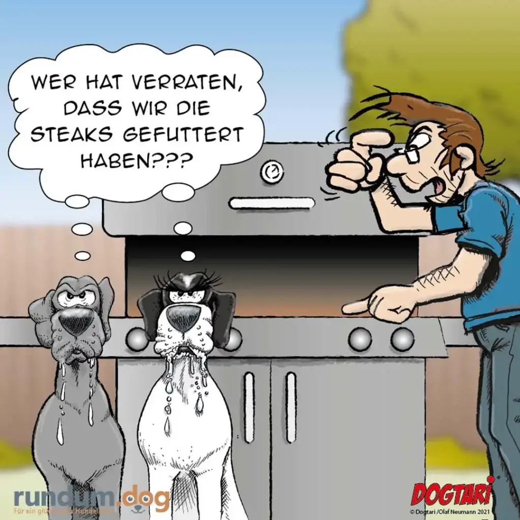 Zwei Hunde mit Sabber im Maul schauen zu, wie ein Mann am Grill steht und sagt: Wer hat verraten, dass wir die Steaks gefluttert haben???