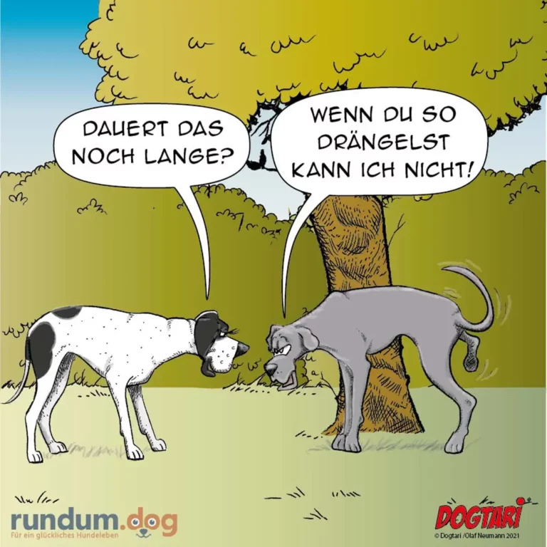 Zwei Hunde unter einem Baum: weisser Hund fragt grauem Hund, der am Baumstamm riecht, ob das noch lange dauert