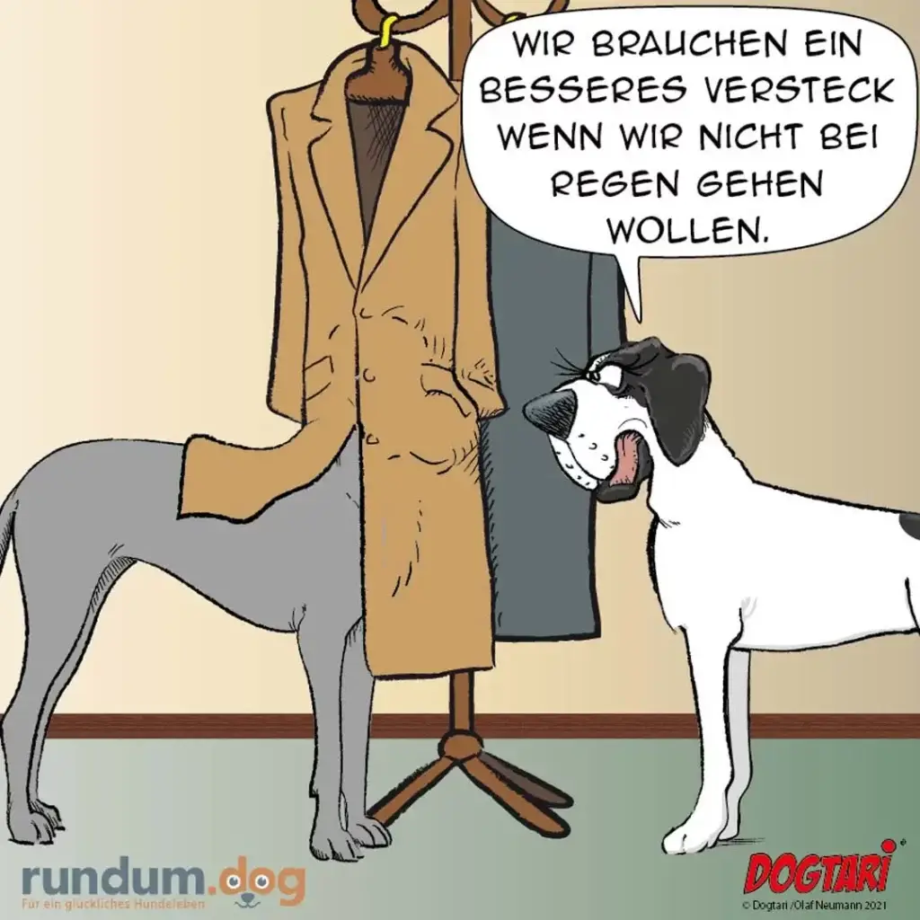 Hund schaut auf Mantel an Garderobe und sagt: Wir brauchen ein besseres Versteck wenn wir nicht bei Regen gehen wollen