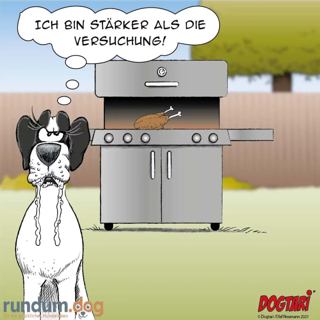 Hund mit langen Ohren schaut auf Grill, aus dem Fleisch raucht. Sprechblase: «Ich bin stärker als die Versuchung!»