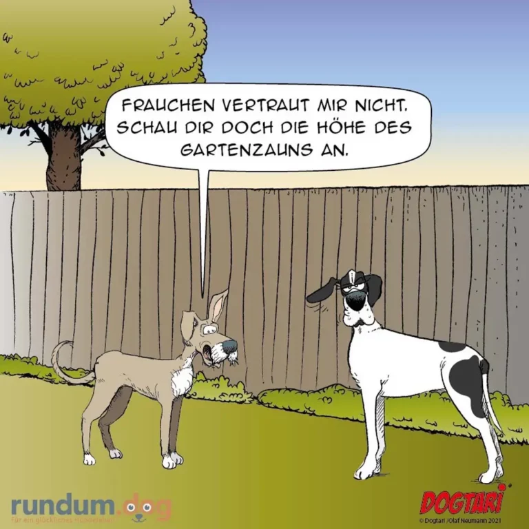 Zwei Hunde im Garten hinter Zaun: kleiner Hund schaut ängstlich, grosser Hund sagt «Fräuchen vertraut mir nicht. Schau dir doch die Höhe des Gartenzauns an.»